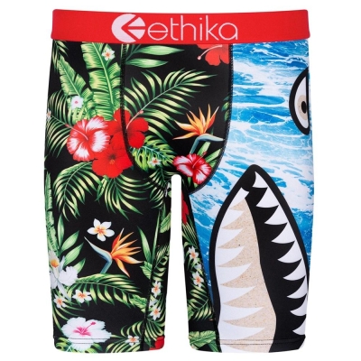 Ethika Bomber Beach Bum Men's Staple Underwear Multicolor | FM5879634