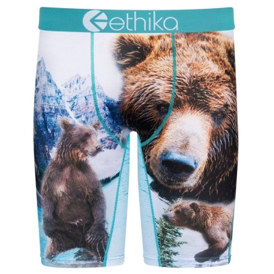 Ethika Brother Bears Men's Staple Underwear White | WC9741350