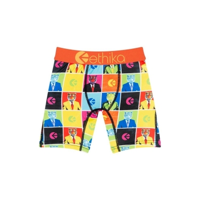 Ethika Business Casual Staple Boys' Underwear Multicolor | GN4921807