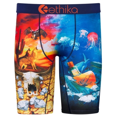 Ethika Diamond In The Rough Men's Staple Underwear Multicolor | WY9104268