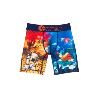 Ethika Diamond In The Rough Staple Boys' Underwear Multicolor | EU9058421