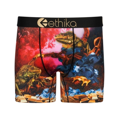 Ethika Dreams Of Bounty Men's Mid Boxers Multicolor | FH4260398