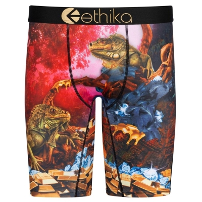 Ethika Dreams Of Bounty Men's Staple Underwear Multicolor | WJ4982530