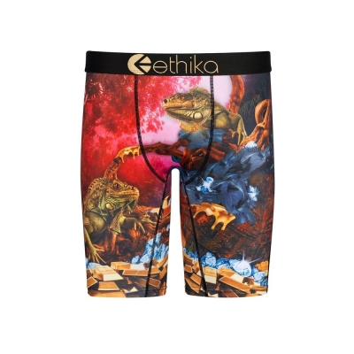 Ethika Dreams Of Bounty Staple Boys' Underwear Multicolor | UJ4708521