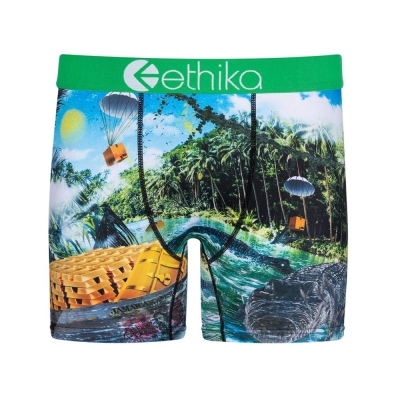 Ethika Dundee Men's Mid Boxers Green | BD0718246