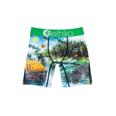 Ethika Dundee Staple Boys' Underwear Green | OP8095372