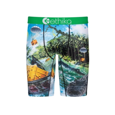 Ethika Dundee Staple Boys' Underwear Green | VB9476183