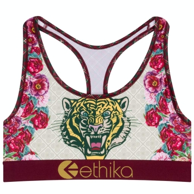 Ethika Ethikafication Women's Sports Bra White Burgundy | NI7682513