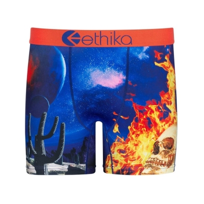 Ethika Flame World Men's Mid Boxers Multicolor | DZ2846395