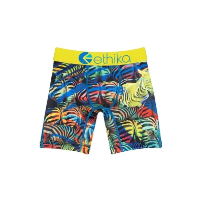 Ethika Froot Stripes Staple Boys' Underwear Multicolor | RX7152396