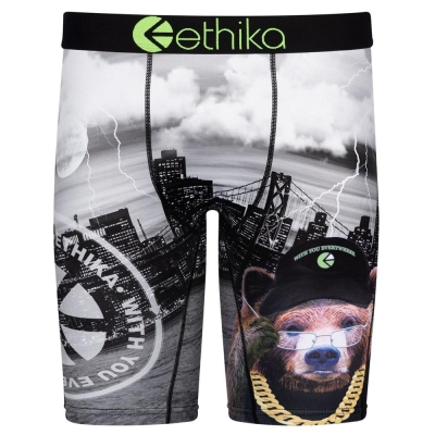 Ethika Hood Report Card Men's Staple Underwear Grey | OS1934287