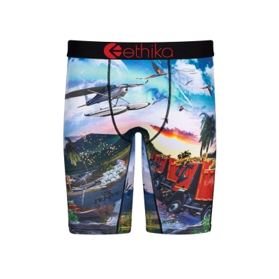 Ethika Isla De Encanto Staple Boys' Underwear Multicolor | BQ1069538