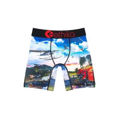 Ethika Isla De Encanto Staple Boys' Underwear Multicolor | KJ2759340