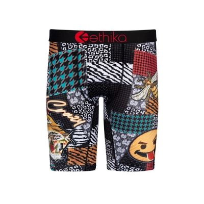 Ethika Legacy Act Staple Boys' Underwear Multicolor | HO2893715