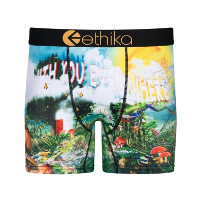 Ethika Lifes a Trip 3D Men's Mid Boxers Multicolor | VI9471053