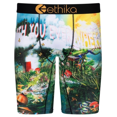 Ethika Lifes a Trip 3D Men's Staple Underwear Multicolor | MH5206417