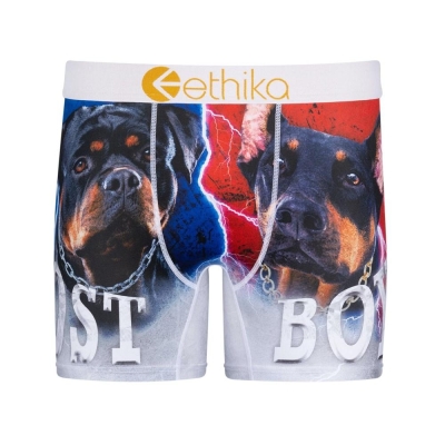 Ethika Lost Men's Mid Boxers Grey | IO5382197