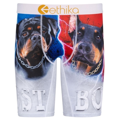 Ethika Lost Men's Staple Underwear Grey | LK5481396