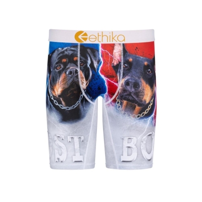 Ethika Lost Staple Boys' Underwear Grey | EA9870461