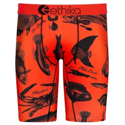 Ethika Maryland Men's Staple Underwear Orange | RV9058417