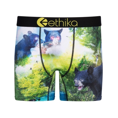 Ethika My Time Men's Mid Boxers Green | UI7192648