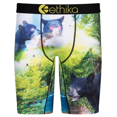 Ethika My Time Men's Staple Underwear Green | OP6309842