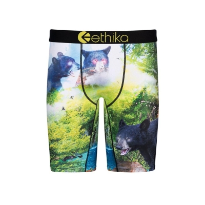 Ethika My Time Staple Boys' Underwear Green | JC7362954