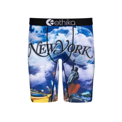 Ethika Only Exotics Staple Boys' Underwear Blue | IJ5827014