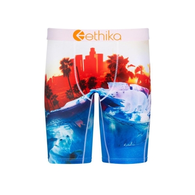 Ethika Polar World Staple Boys' Underwear Blue Red | DW2015693