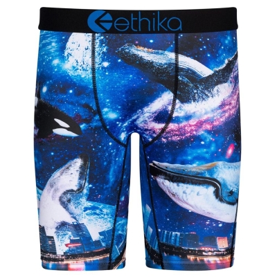 Ethika Space Whale Men's Staple Underwear Navy | JL0381752