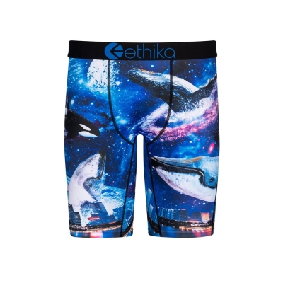 Ethika Space Whale Staple Boys' Underwear Navy | KF5694870