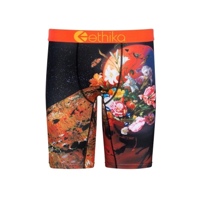 Ethika Superbloom Staple Boys' Underwear Black | WJ7582196