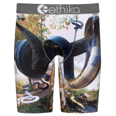 Ethika You Good? Men's Staple Underwear Multicolor | RF7895324