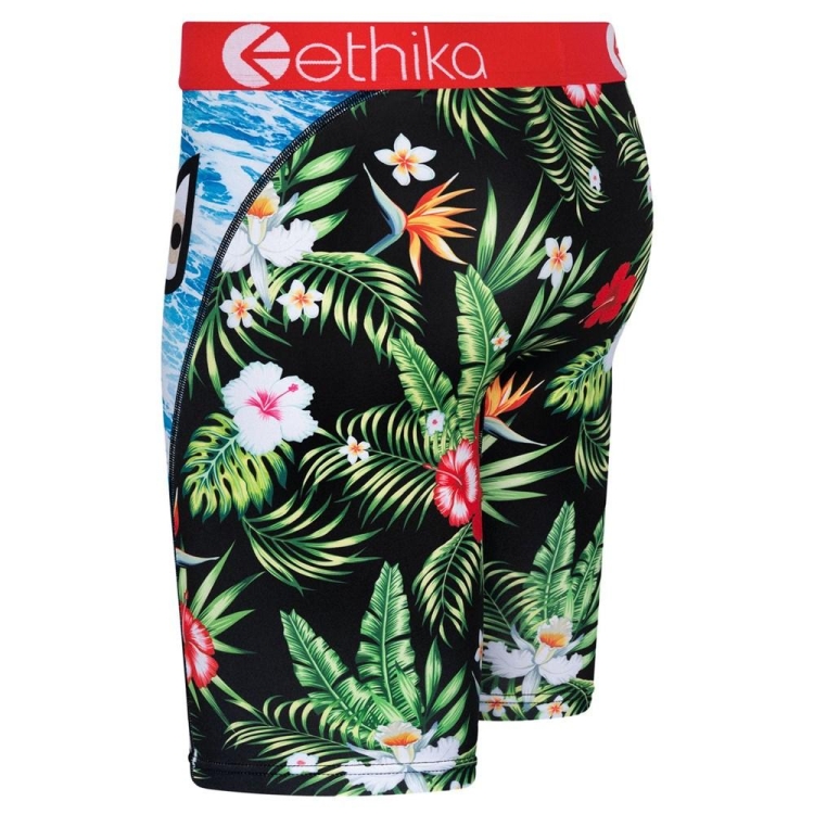 Ethika Bomber Beach Bum Men's Staple Underwear Multicolor | FM5879634