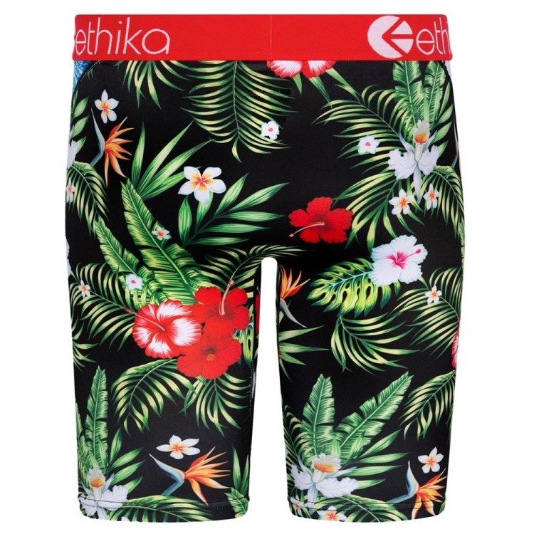 Ethika Bomber Beach Bum Men's Staple Underwear Multicolor | FM5879634