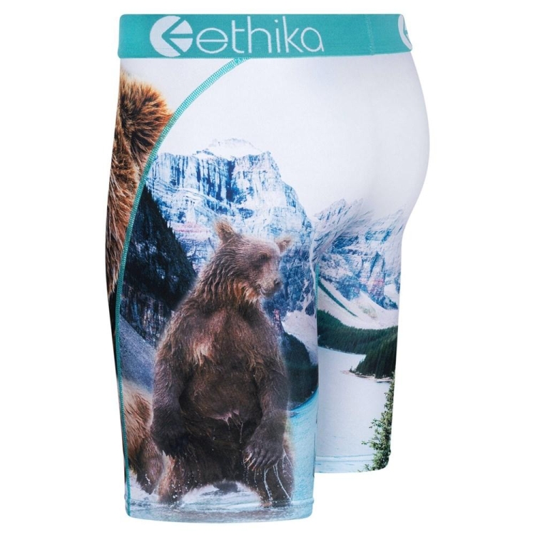 Ethika Brother Bears Men's Staple Underwear White | WC9741350