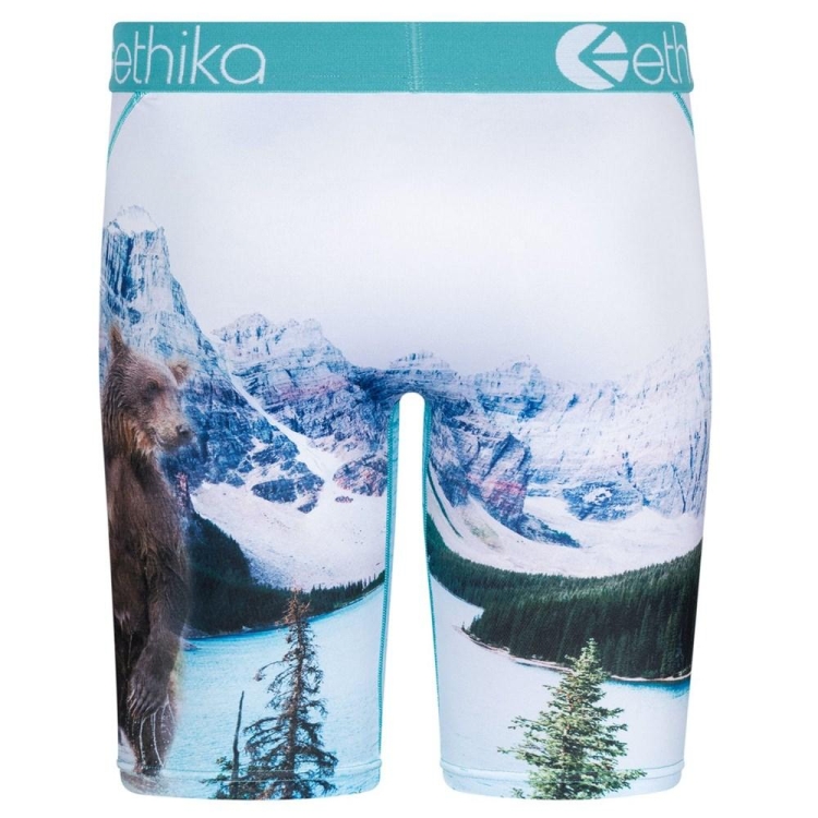 Ethika Brother Bears Men's Staple Underwear White | WC9741350