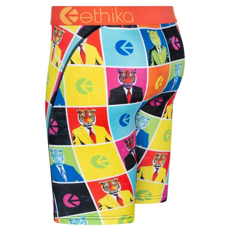 Ethika Business Casual Men's Staple Underwear Multicolor | IM1245986