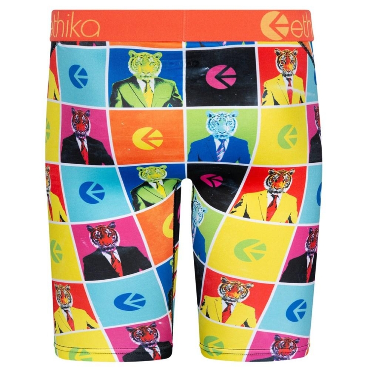 Ethika Business Casual Men's Staple Underwear Multicolor | IM1245986