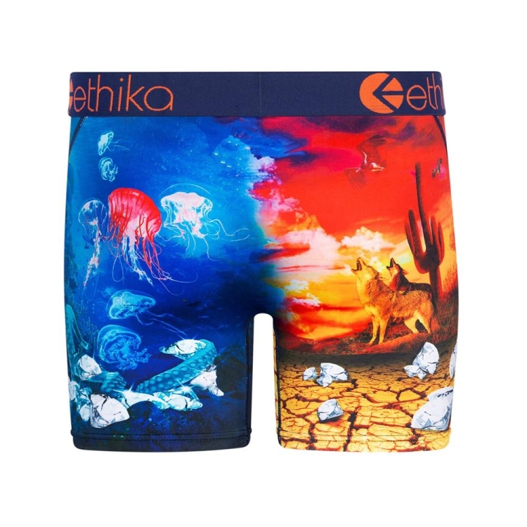 Ethika Diamond In The Rough Men's Mid Boxers Multicolor | EO1298634