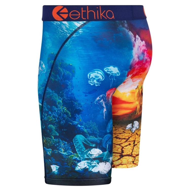 Ethika Diamond In The Rough Men's Staple Underwear Multicolor | WY9104268