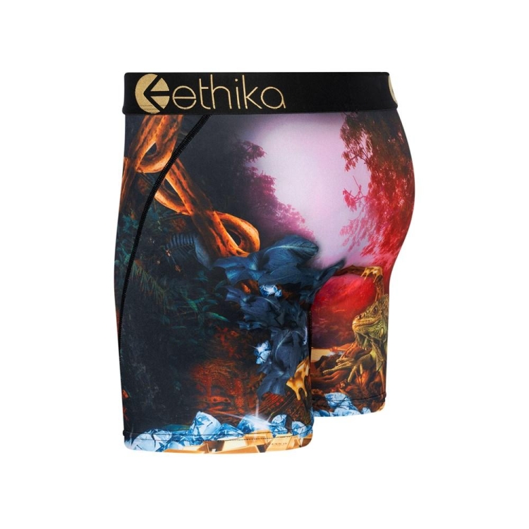 Ethika Dreams Of Bounty Men's Mid Boxers Multicolor | FH4260398