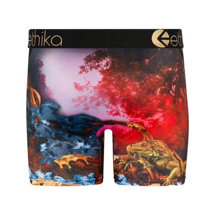 Ethika Dreams Of Bounty Men's Mid Boxers Multicolor | FH4260398