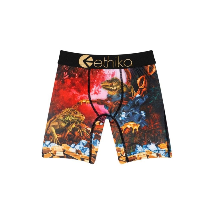 Ethika Dreams Of Bounty Staple Boys\' Underwear Multicolor | NF4502397