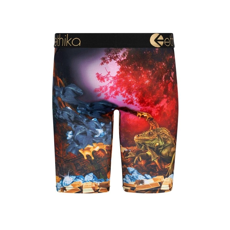 Ethika Dreams Of Bounty Staple Boys' Underwear Multicolor | UJ4708521