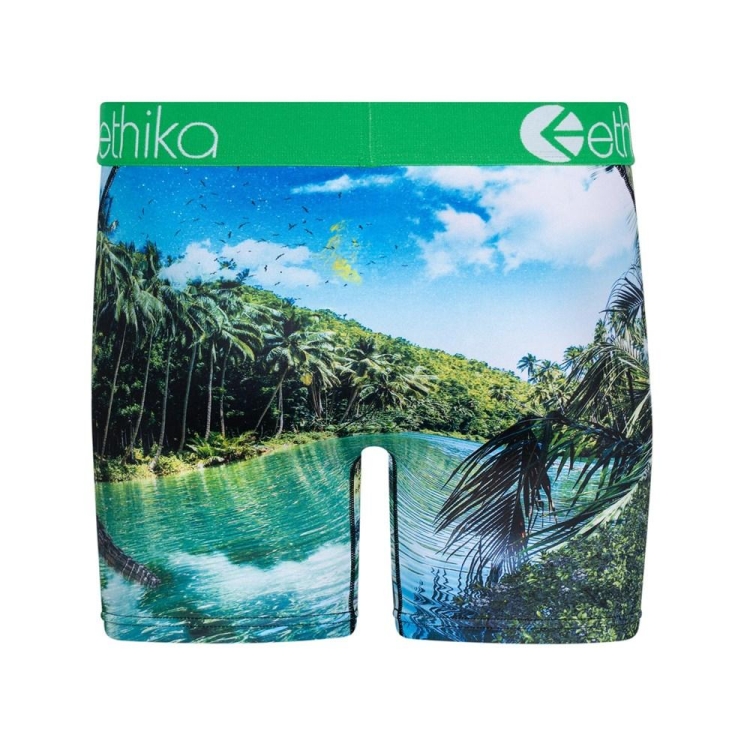 Ethika Dundee Men's Mid Boxers Green | BD0718246