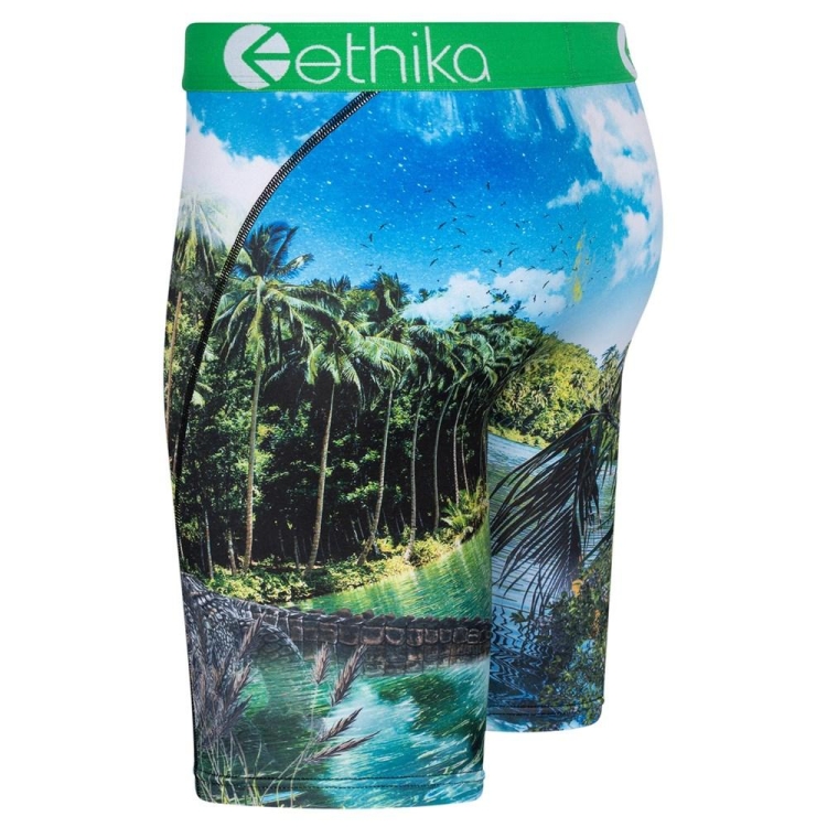 Ethika Dundee Men's Staple Underwear Green | CL7193568