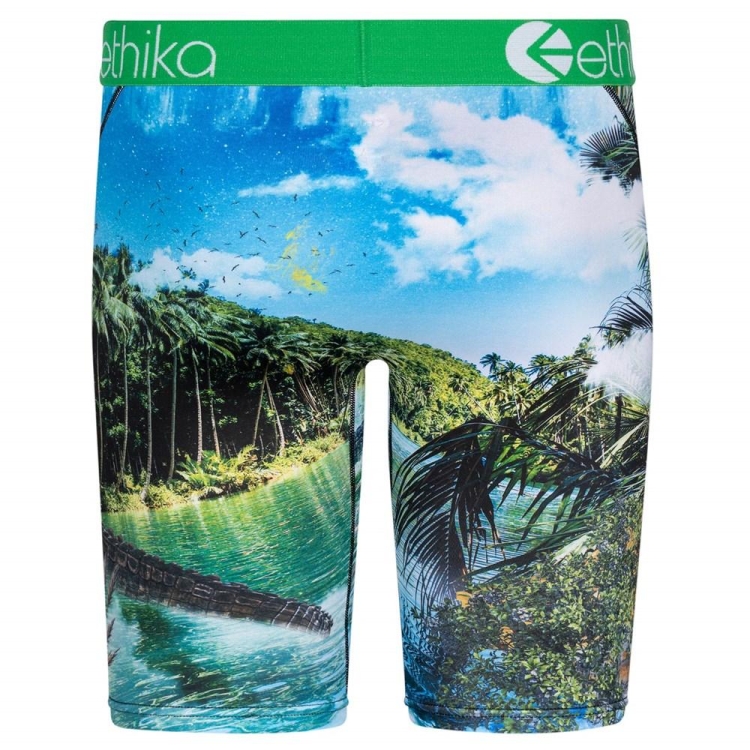 Ethika Dundee Men's Staple Underwear Green | CL7193568