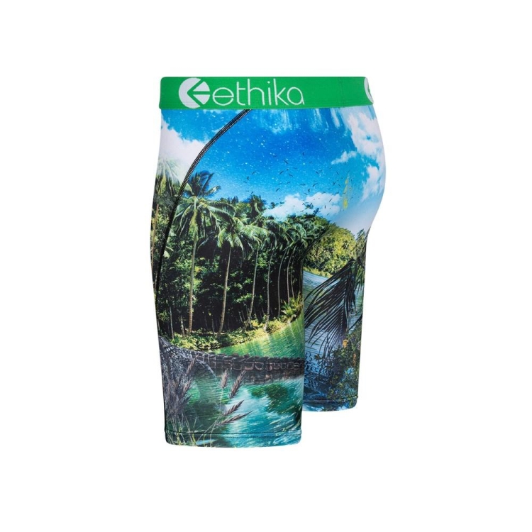 Ethika Dundee Staple Boys' Underwear Green | VB9476183