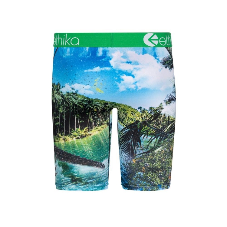 Ethika Dundee Staple Boys' Underwear Green | VB9476183